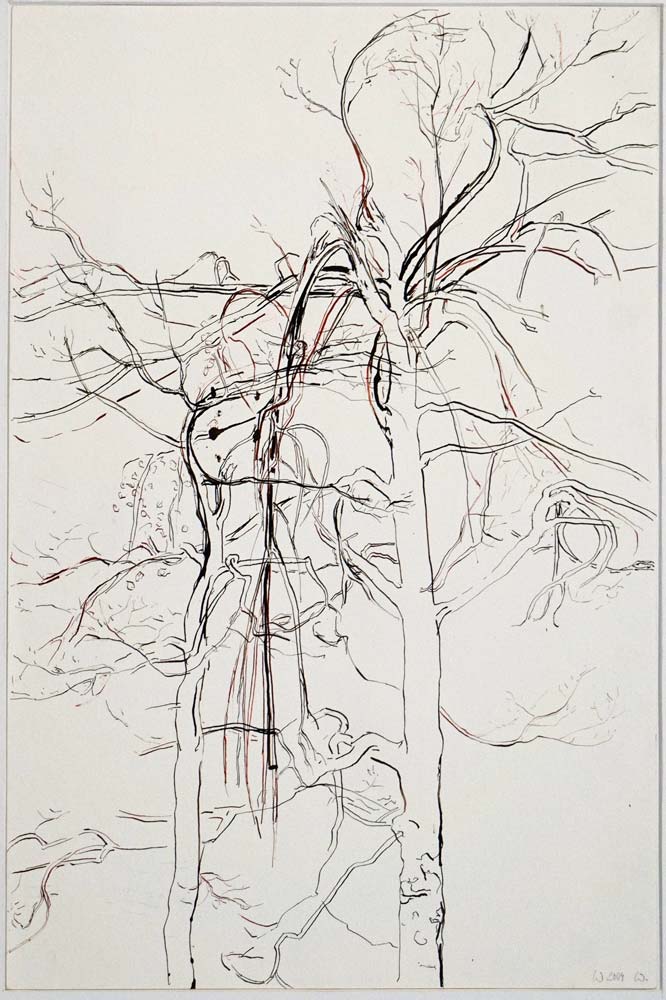 Kurs-Zeichnen-Isele-Zeichen-Labor-666x1000px